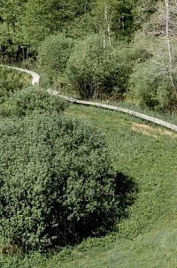 Župančič Trail