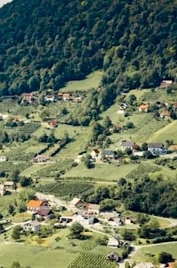 Smuk–Gornje Laze Trail