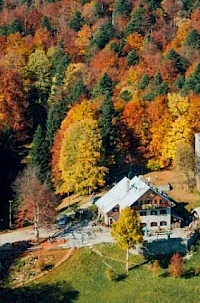 Planina–Mirna Gora Forest Educational Trail