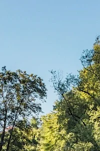 Planinska krožna pot Metlika–Krašnji vrh