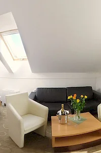 Hotel Bela krajina***