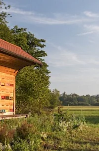 Sever Beekeeping