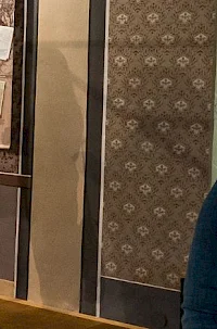 Mestna muzejska zbirka Črnomelj
