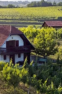 Zidanica - Apartma Natalija