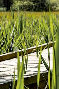 Wo sich trockener Karst und Wasser treffen