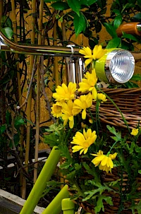 Izposoja koles "BiKe"