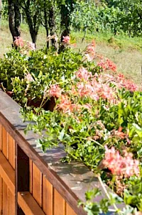 Ekološka kmetija Golobič - Apartma Pri Movernu