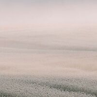 Dogajanje v turistični destinaciji Bela krajina v ½ leta 2023