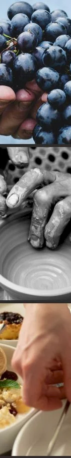 Crops and food -