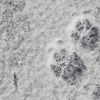 Bela krajina kliče na potep: Top 8 pohodnih poti z razgledi