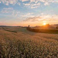 TURISTIČNO LETO 2023 V BELI KRAJINI