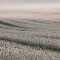 Prihodi in prenočitve turistov po državah, mesečno 2020 - 2023