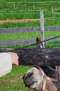 Zeliščna kmetija pod Hrelenom