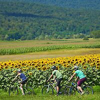 Preživite prvomajske počitnice v Beli krajini
