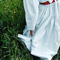 Napotki za obisk Bele krajine