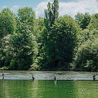 Razvojno informacijski center Bela krajina uspešen na razpisu za sofinanciranje promocije destinacije Bele krajine