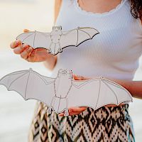 Po poteh skrivnostnega obiskovalca