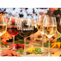 Martinovanje v Vinski kleti Metlika