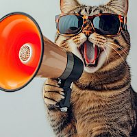 Ukrepi in smernice za zmanjševanje hrupa