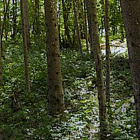 Ukrepi destinacije za zniževanje ogljičnega odtisa