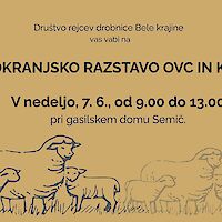 31. BELOKRANJSKA RAZSTAVA OVC ON KOZ 2026