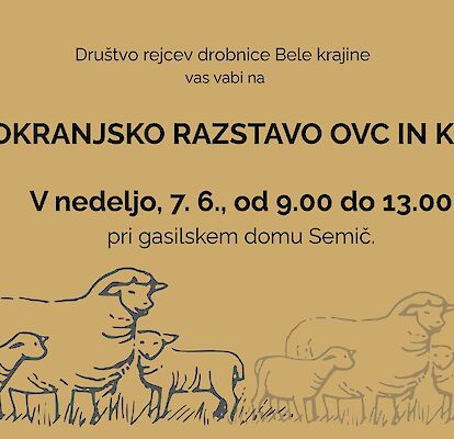 31. BELOKRANJSKA RAZSTAVA OVC ON KOZ 2026