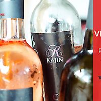 Večer Vina Kajin - Odprta vrata Bele krajine