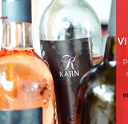 Večer Vina Kajin - Odprta vrata Bele krajine